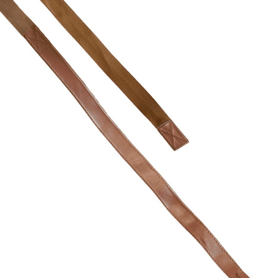 5ACPS_Tan