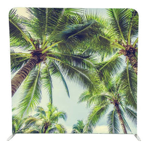 Backdrop-Coconut-Tree-Palm