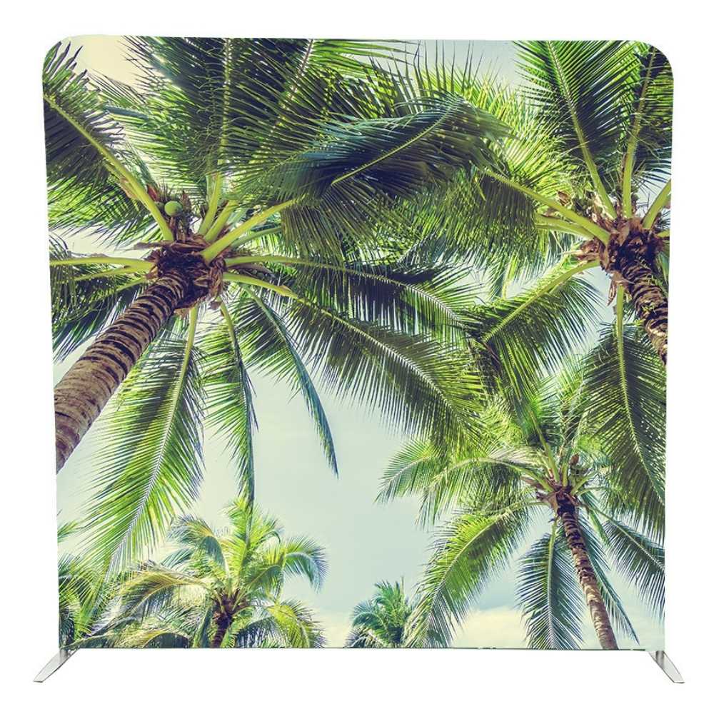 Backdrop-Coconut-Tree-Palm