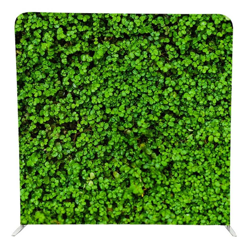 Backdrop-Greenery-101