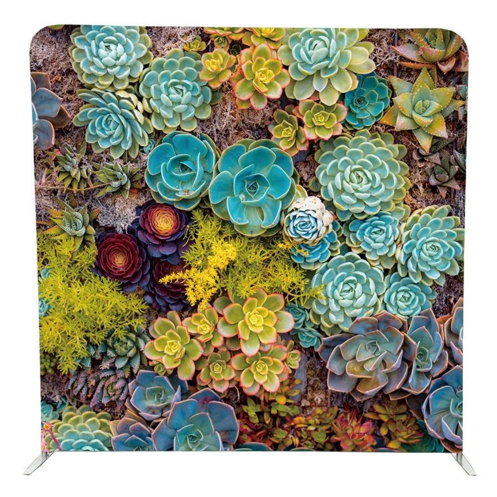 Backdrop-Succulent-Backdrop