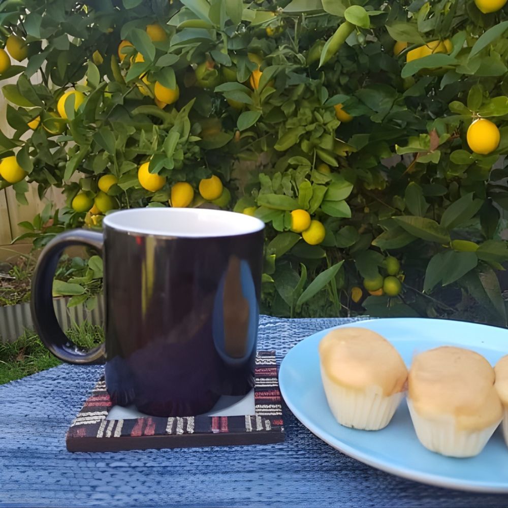 Colour Change Magic Mug
