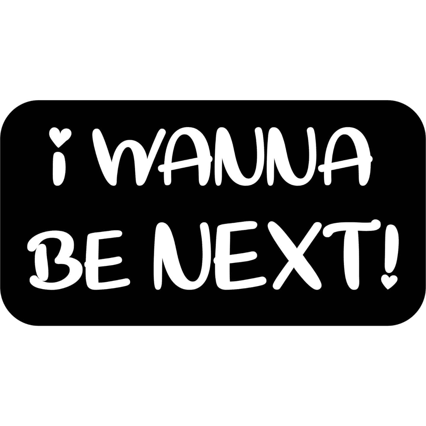 I-Wanna-Be-Next