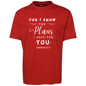Jeremiah-29-11_Red_Wht