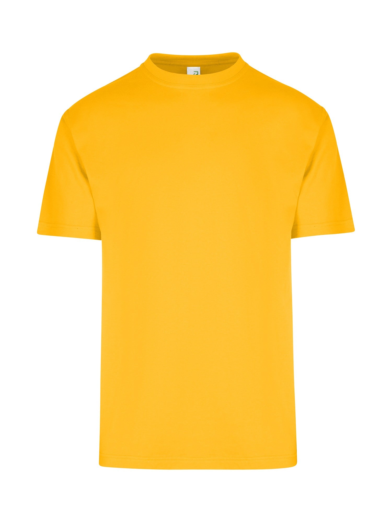RM Men's / Unisex Regular T-Shirt - T202HT