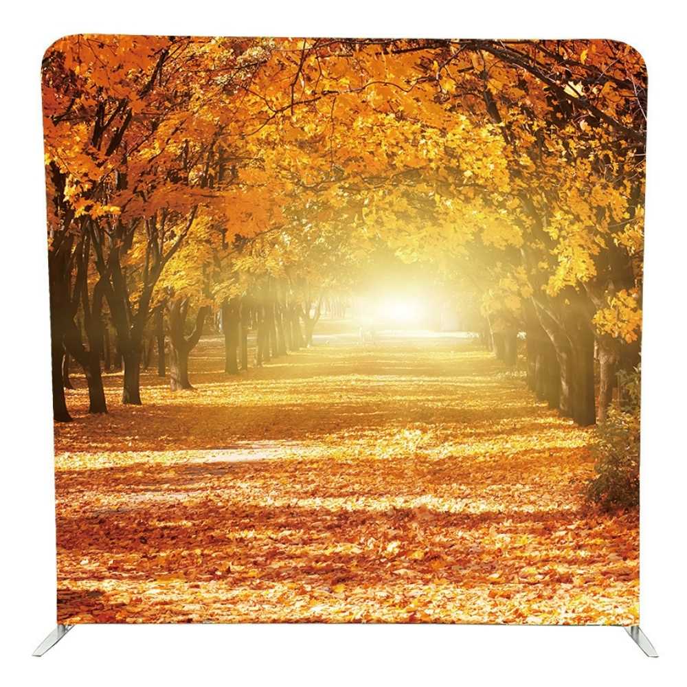 Backdrop-Autumn-Forest-101