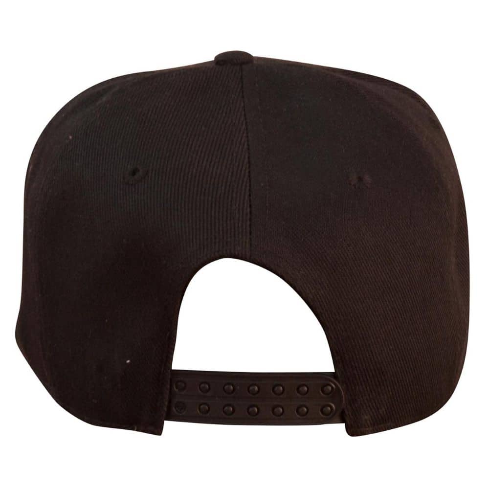 CH50_Suburban-Snapback-Black-back