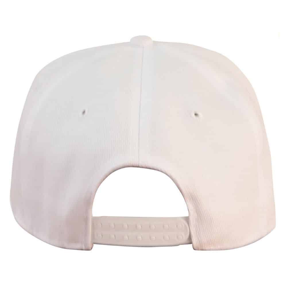 CH50_Suburban-Snapback-White-back