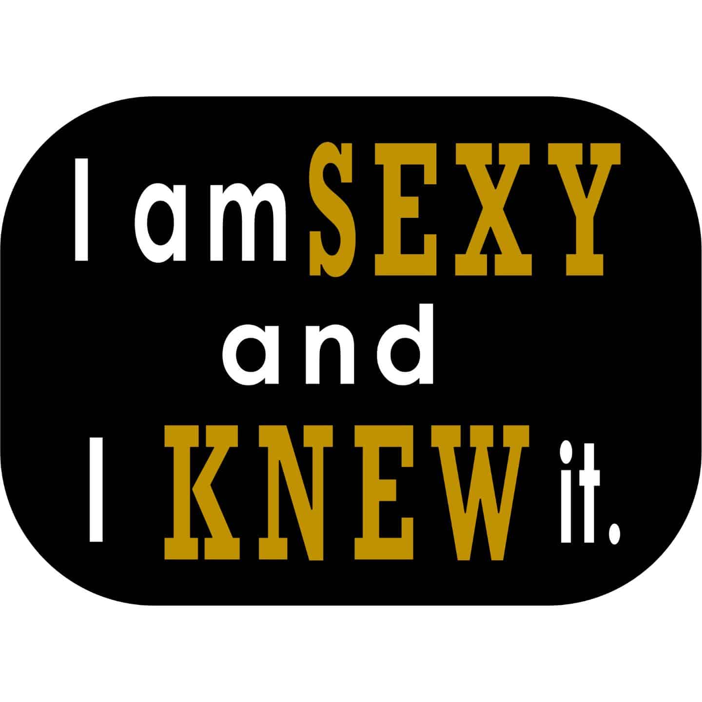 I-Am-Sexy-and-I-Knew-It
